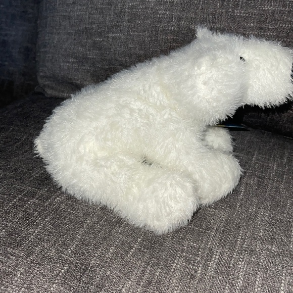 WEBKINZ Ganz POKAR BEAR HM116 Hang & But Tag No Code plush stuffed animal - Picture 3 of 11